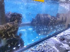 -钱塘府海鲜餐厅