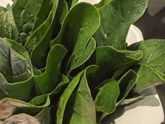 -南门四季铜锅涮肉(大屯·北苑店)