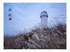 -枸杞岛
