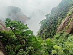 -黄山风景区