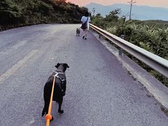 -山王坪喀斯特国家生态公园