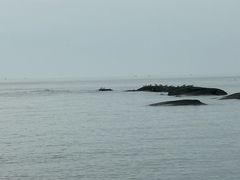 -日照灯塔风景区