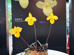 -北京植物园-展览温室