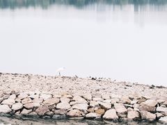 -深圳人才公园