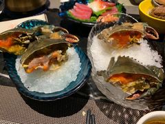 螃蟹-海鼎荟海鲜姿造(仟禧汇店)