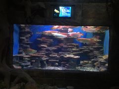 -多彩贵州城极地海洋世界