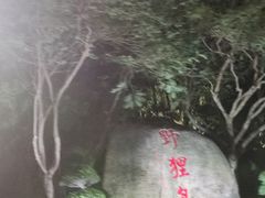 -野狸岛
