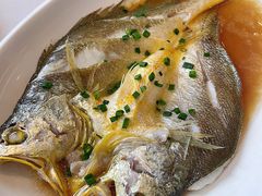 -华盛丰温州大排档(东三环南路店)