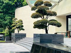 -棕榈泉国际高尔夫学院