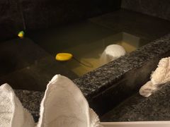 -春晖园度假酒店温泉