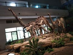 -自贡恐龙博物馆