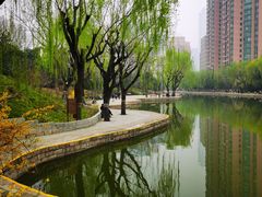 -团结湖公园