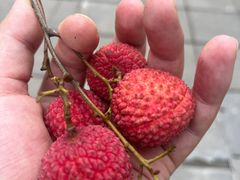 -深圳大学(丽湖校区)