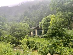 -芳草地度假酒店·野炉中餐厅