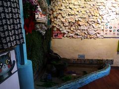 -猫小院猫主题咖啡厅(北锣店)