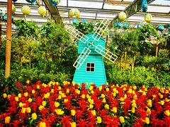 -南宫五洲植物乐园