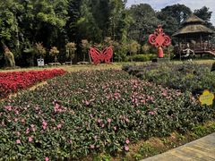 -广州市石门国家森林公园