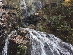 -藏龙百瀑风景区