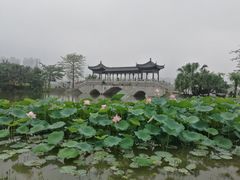 -飞来湖湿地公园