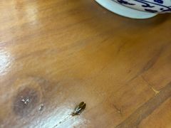 -郑家包子牛肉拉面(尚勤路店)