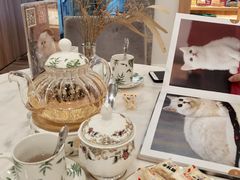 -袖虎·猫馆(体育西路店)