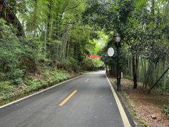 -潜山国家森林公园