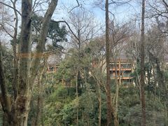 -拾溪餐厅·包厢(杭州千禧度假酒店)