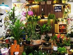 -樟宜机场免税店
