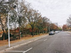 -上海财经大学(国定路校区)