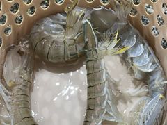 -小海豚•老字号海鲜餐厅(天涯店)