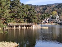 -庐山风景区花径公园