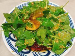 -虢国羊肉汤馆(政二街店)