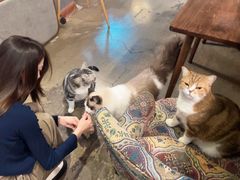 -咖法森林·咖啡  酒吧(天河店)