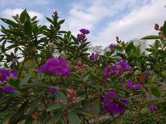 -晓港公园