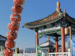 -长春市南湖公园