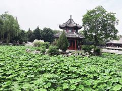 -莲池书院博物馆