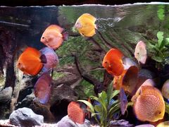 -上海海洋水族馆