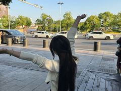-金鸡湖桃花岛
