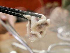 新鲜脆肉皖鱼片-红日饭店(裕隆三路店)