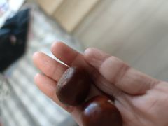 -粒上皇(崇文门店)