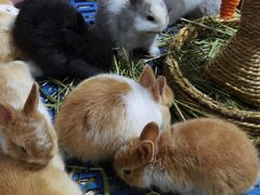 -三旗百汇商品城