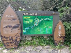 -雁南飞茶田景区