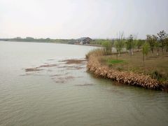 -南湖湿地公园