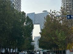 -朝阳区图书馆(小庄店)