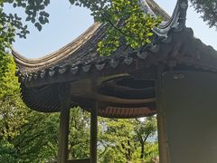 -香雪海
