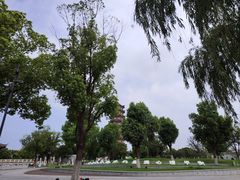 -葛仙湖公园