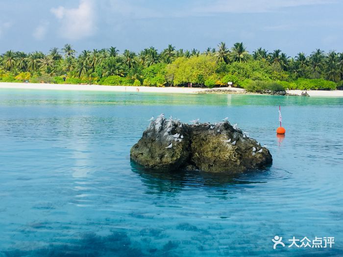 假日岛图片 - 第7张