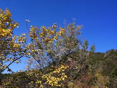 -府君山公园