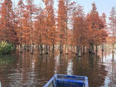 -白鹭湾湿地公园