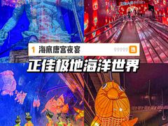 -正佳极地海洋世界